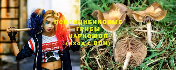 МДПВ Новозыбков