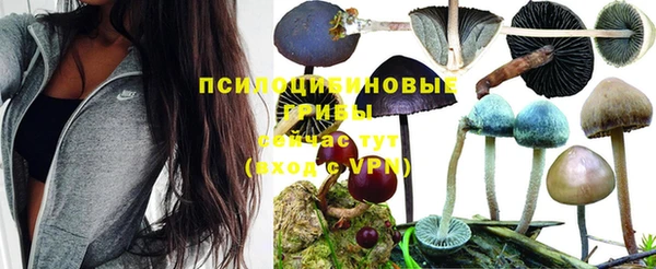гидропоника Новокубанск