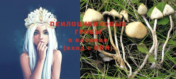 МДПВ Новодвинск