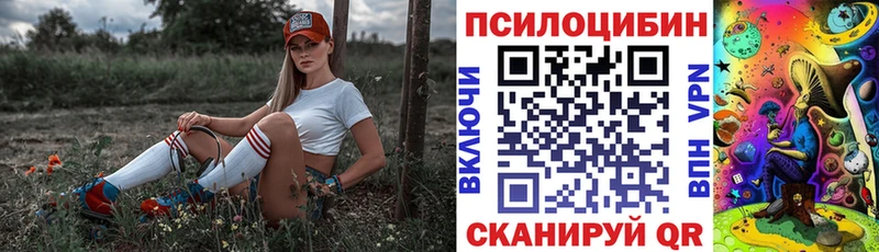 Купить закладки  Шебекино  Псилоцибиновые грибы GOLDEN TEACHER 